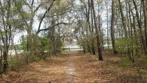 [Long pipe, Sabal Trail Pipeline, Suwannee River, Suwannee County, FL, 2017-03-25, 30.4063420, -83.1535262]