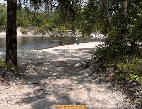 [Naylor Park Beach, Alapaha River @ US 84, 2025-06-18 --Kim Tanner for WWALS]