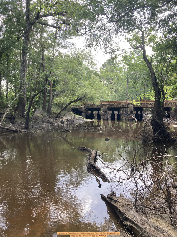 [Upstream, Franklinville, Withlacoochee River @ Frankinville Road, 2025-06-19 --Cindy Vedas for WWALS]
