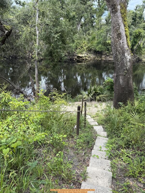 [Holly Point, Withlacoochee River @ NE Withla Bluffs Way, 2025-06-19 --Russ Tatum for WWALS]