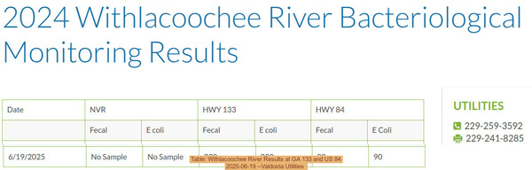 [Table: Withlacoochee River Results at GA 133 and US 84, 2025-06-19 --Valdosta Utilities]