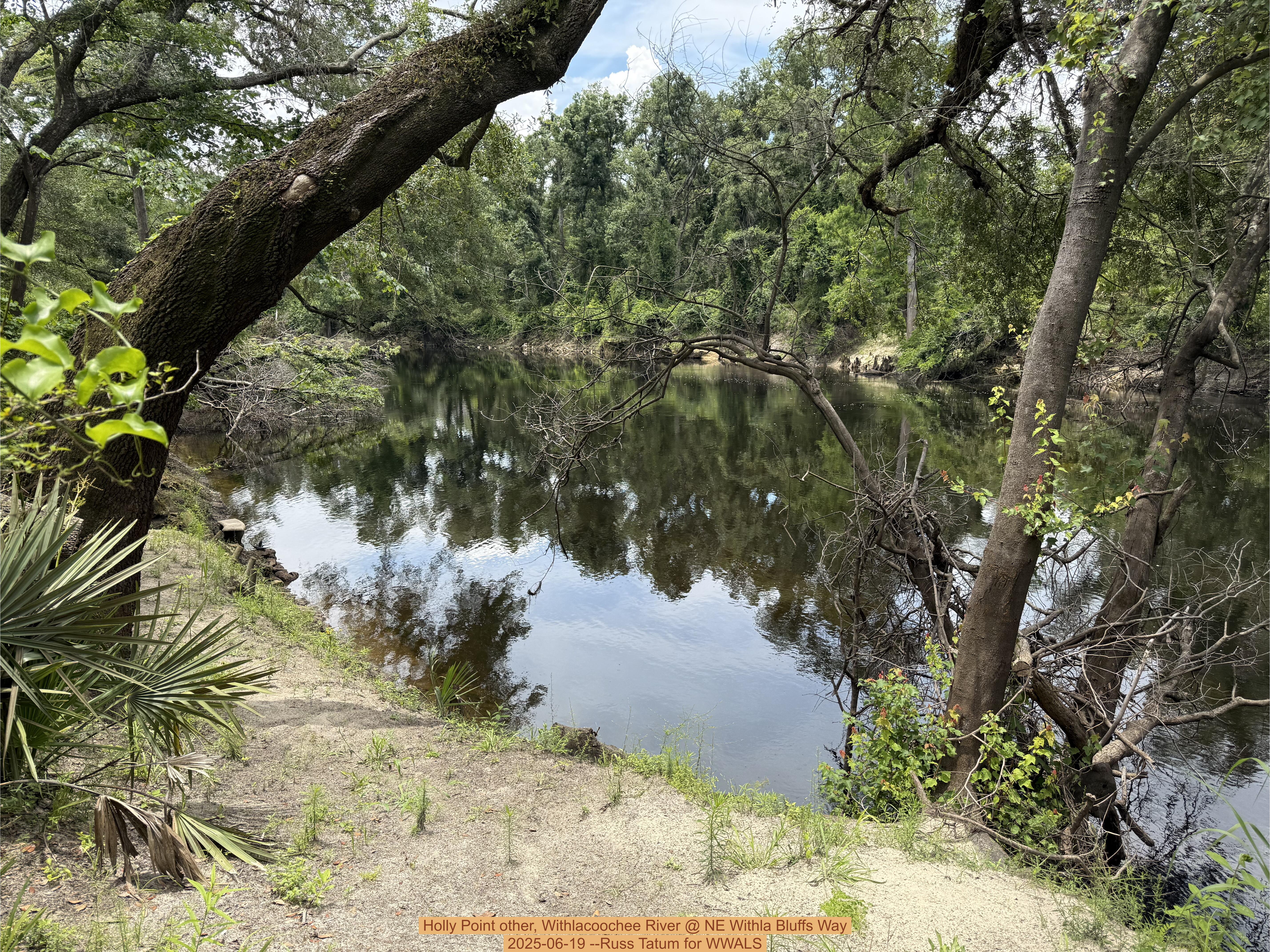 Holly Point other, Withlacoochee River @ NE Withla Bluffs Way, 2025-06-19 --Russ Tatum for WWALS