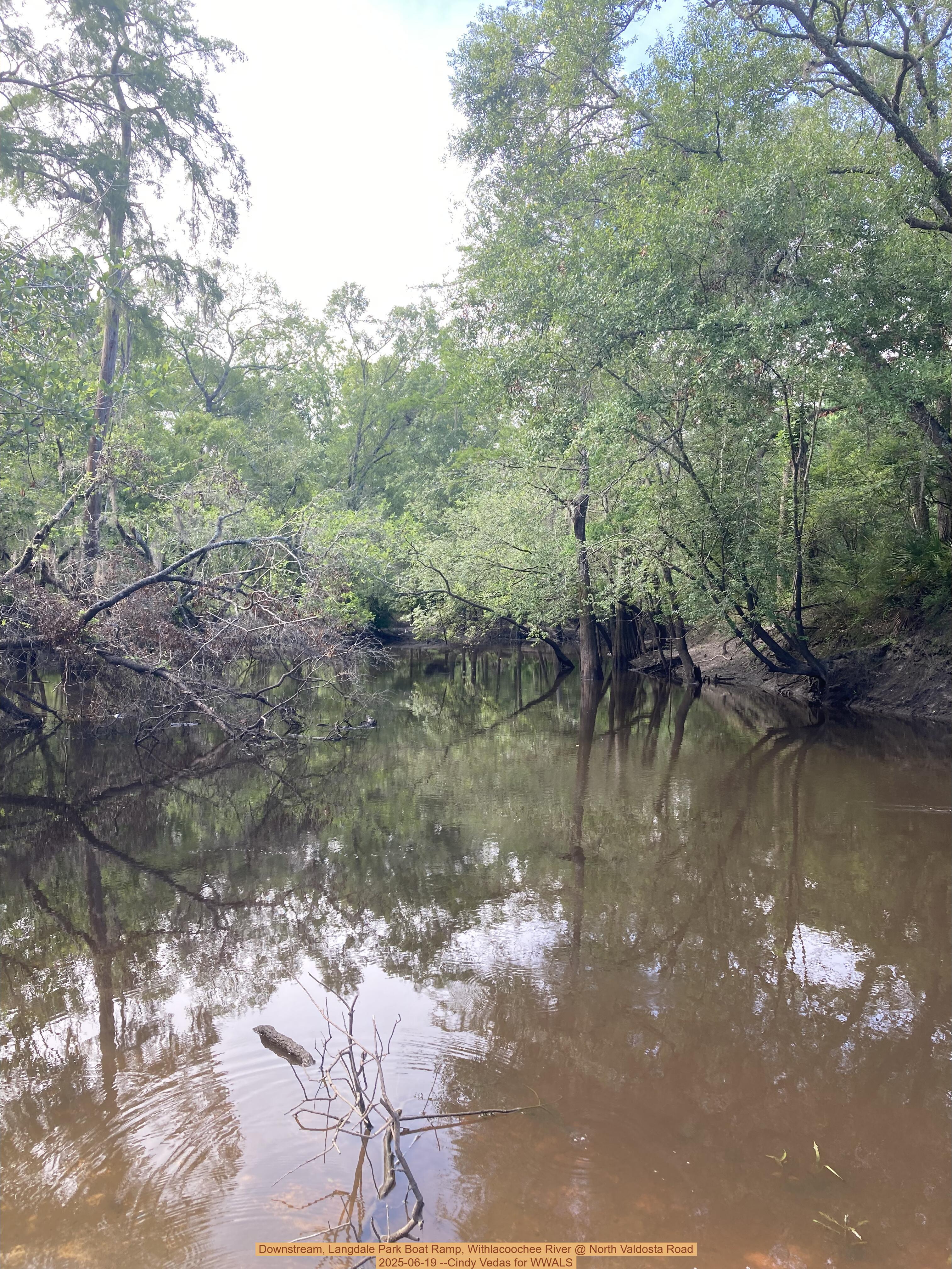 Downstream, Langdale Park Boat Ramp, Withlacoochee River @ North Valdosta Road, 2025-06-19 --Cindy Vedas for WWALS