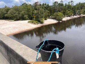 [Across, Lakeland Boat Ramp, Alapaha River @ GA 122, 2025-06-18 --Kim Tanner for WWALS]