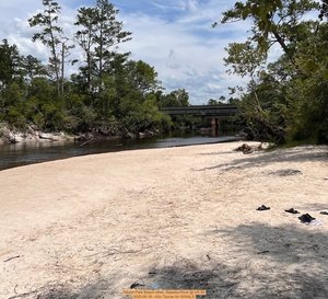 [Naylor Park Beach other, Alapaha River @ US 84, 2025-06-18 --Kim Tanner for WWALS]