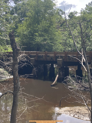 [Tyler Bridge, Franklinville, Withlacoochee River @ Frankinville Road, 2025-06-19 --Cindy Vedas for WWALS]