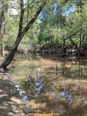 [Downstream, Franklinville, Withlacoochee River @ Frankinville Road, 2025-06-19 --Cindy Vedas for WWALS]