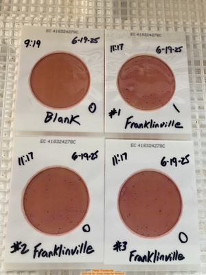 [Plates, Franklinville, 2025-06-19 --Cindy Vedas for WWALS]