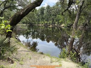 [Holly Point other, Withlacoochee River @ NE Withla Bluffs Way, 2025-06-19 --Russ Tatum for WWALS]