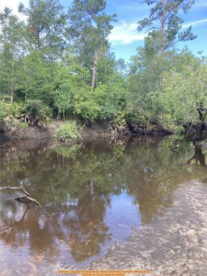 [Upstream, Langdale Park Boat Ramp, Withlacoochee River @ North Valdosta Road, 2025-06-19 --Cindy Vedas for WWALS]