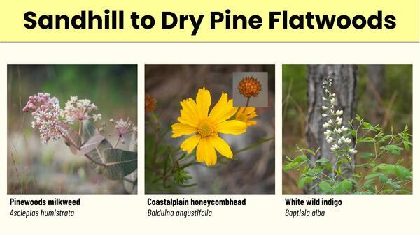 Slide 12