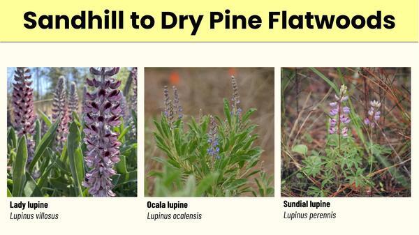Slide 13