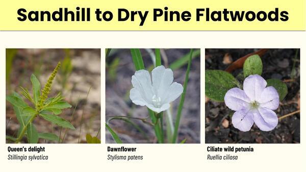 Slide 14