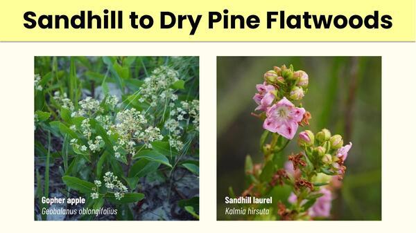Slide 18