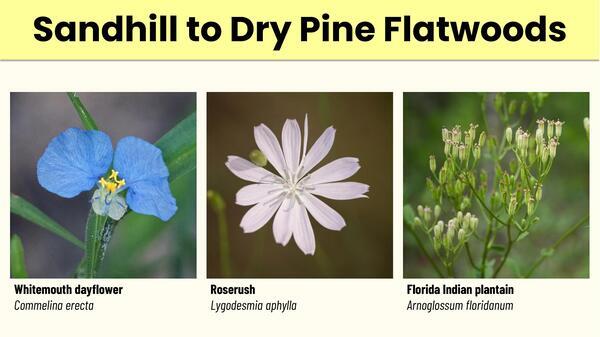 Slide 19