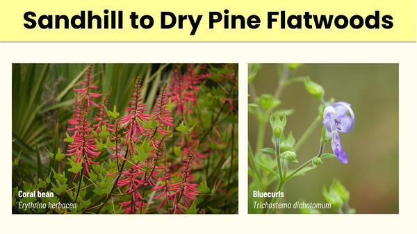 [Slide 20]