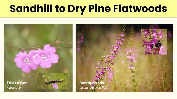 Slide 22