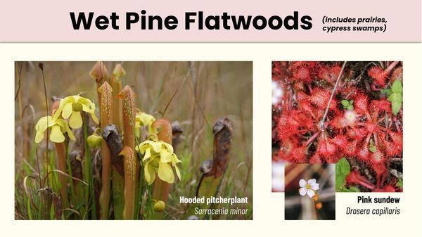Slide 28