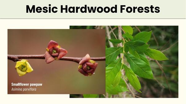 Slide 34
