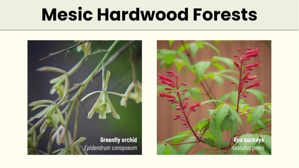 Slide 35