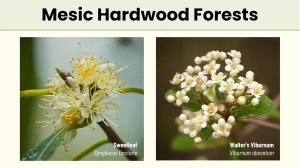 Slide 37