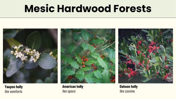 Slide 38