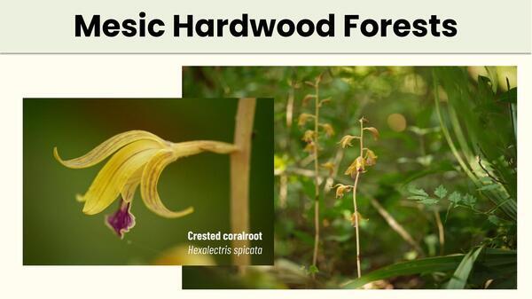 Slide 40