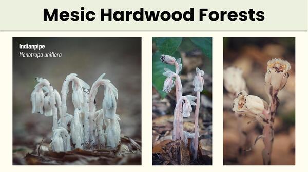 Slide 42