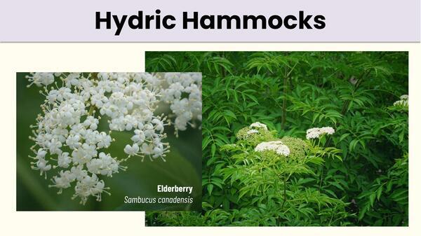 Slide 48