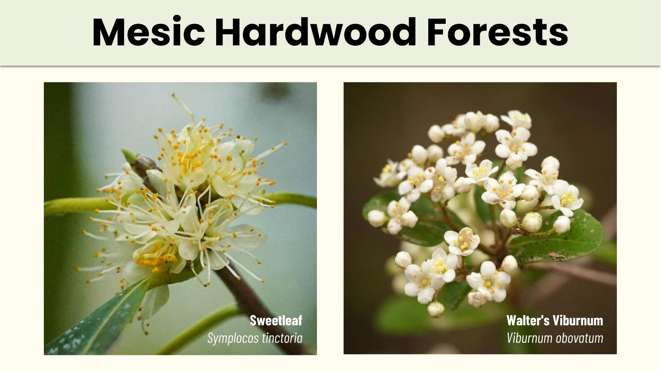 Slide 37