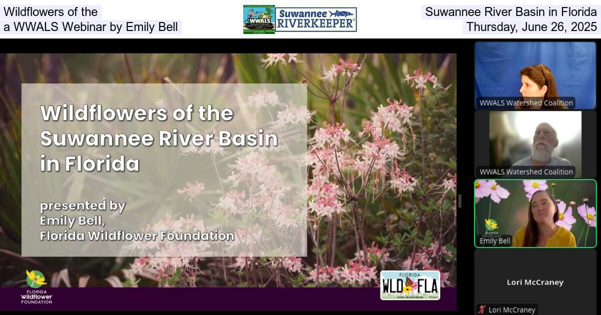 Wildflowers of the Suwannee River Basin in Florida, a WWALS Webinar by Emily Bell, Thursday, June 26, 2025