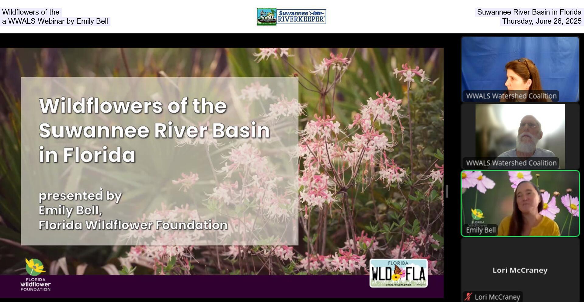 [Wildflowers of the Suwannee River Basin in Florida, a WWALS Webinar by Emily Bell, Thursday, June 26, 2025]