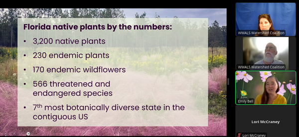 Numbers