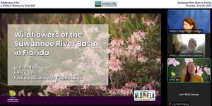 [Wildflowers of the Suwannee River Basin in Florida, a WWALS Webinar by Emily Bell, Thursday, June 26, 2025]