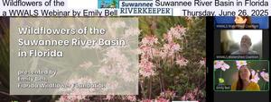 [Wildflowers of the Suwannee River Basin in Florida, a WWALS Webinar by Emily Bell, Thursday, June 26, 2025]