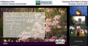 [Wildflowers of the Suwannee River Basin in Florida, a WWALS Webinar by Emily Bell, Thursday, June 26, 2025]