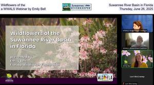 [Wildflowers of the Suwannee River Basin in Florida, a WWALS Webinar by Emily Bell, Thursday, June 26, 2025]