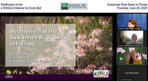 [Wildflowers of the Suwannee River Basin in Florida, a WWALS Webinar by Emily Bell, Thursday, June 26, 2025]