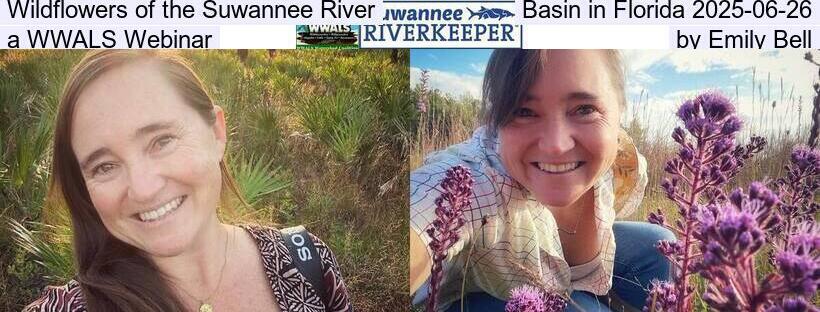 Wildflowers of the Suwannee River Basin in Florida 2025-06-26, a WWALS Webinar, by Emily Bell