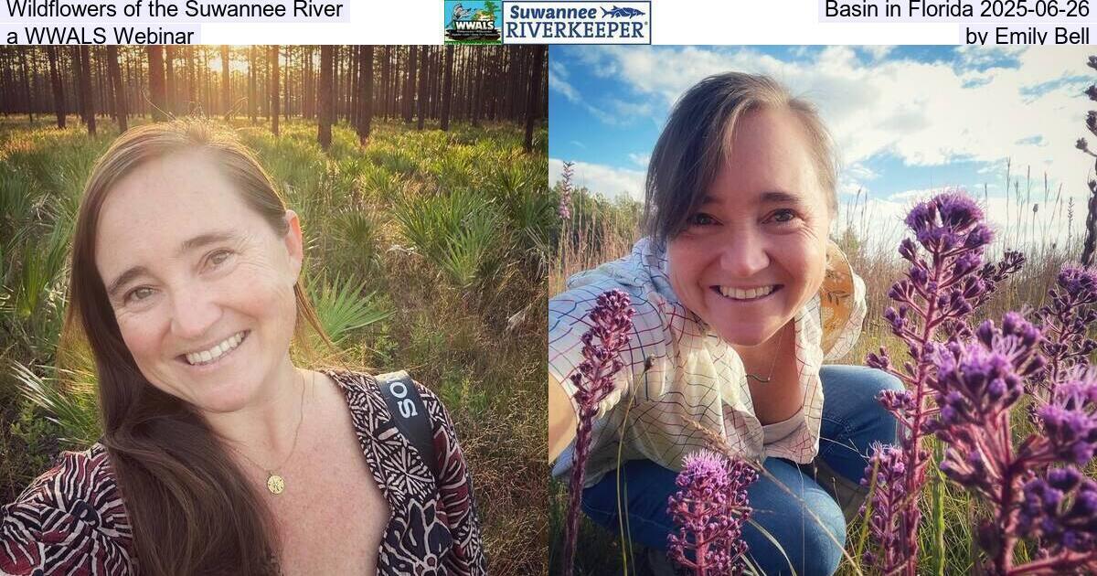Wildflowers of the Suwannee River Basin in Florida 2025-06-26, a WWALS Webinar, by Emily Bell