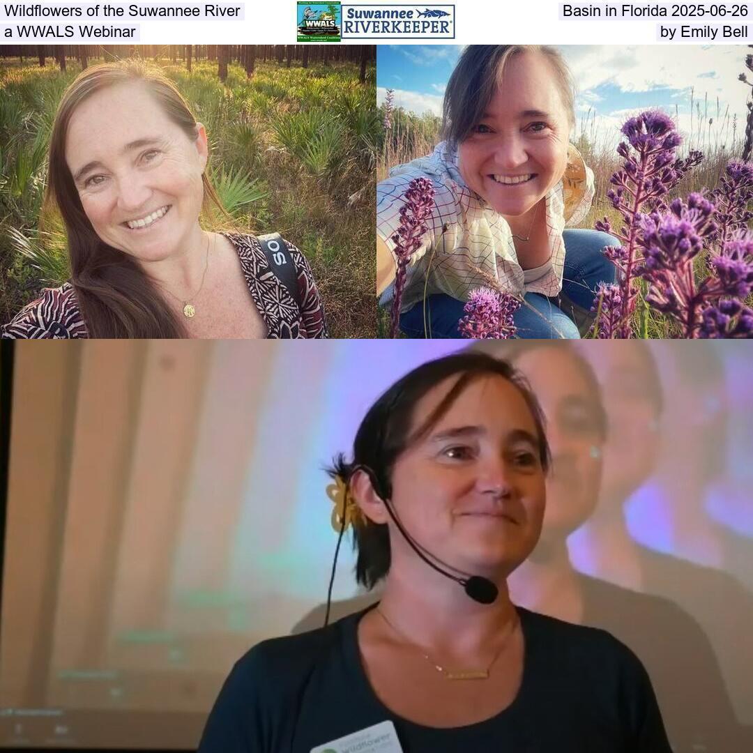 Wildflowers of the Suwannee River Basin in Florida 2025-06-26, a WWALS Webinar, by Emily Bell