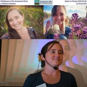[Wildflowers of the Suwannee River Basin in Florida 2025-06-26, a WWALS Webinar, by Emily Bell]