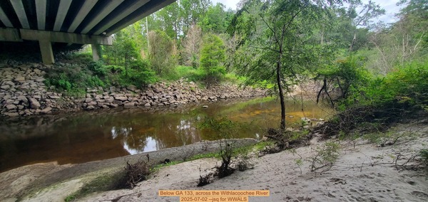 Below GA 133, across the Withlacoochee River, 2025-07-02 --jsq for WWALS
