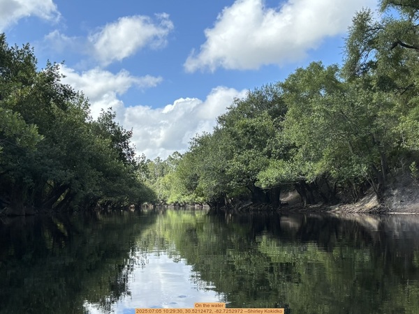 [On the water, 2025:07:05 10:29:30, 30.5212472, -82.7252972 --Shirley Kokidko]