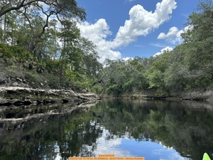 [Karst left bluff, 2025:07:05 13:16:34, 30.4588833, -82.6775444 --Shirley Kokidko]