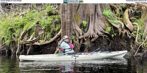 [Turner Bridge to Cone Bridge, Suwannee River 2025-07-05, Thanks to Shirley Kokidko]