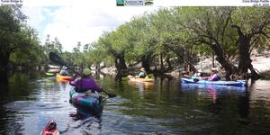 [Turner Bridge to Cone Bridge Paddle, Suwannee River, July 5, 2025]