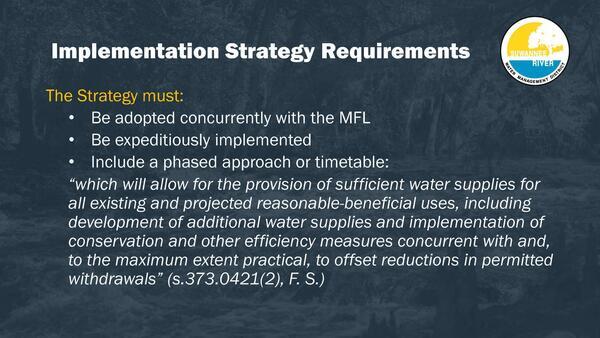 Implementation Strategy Requirements