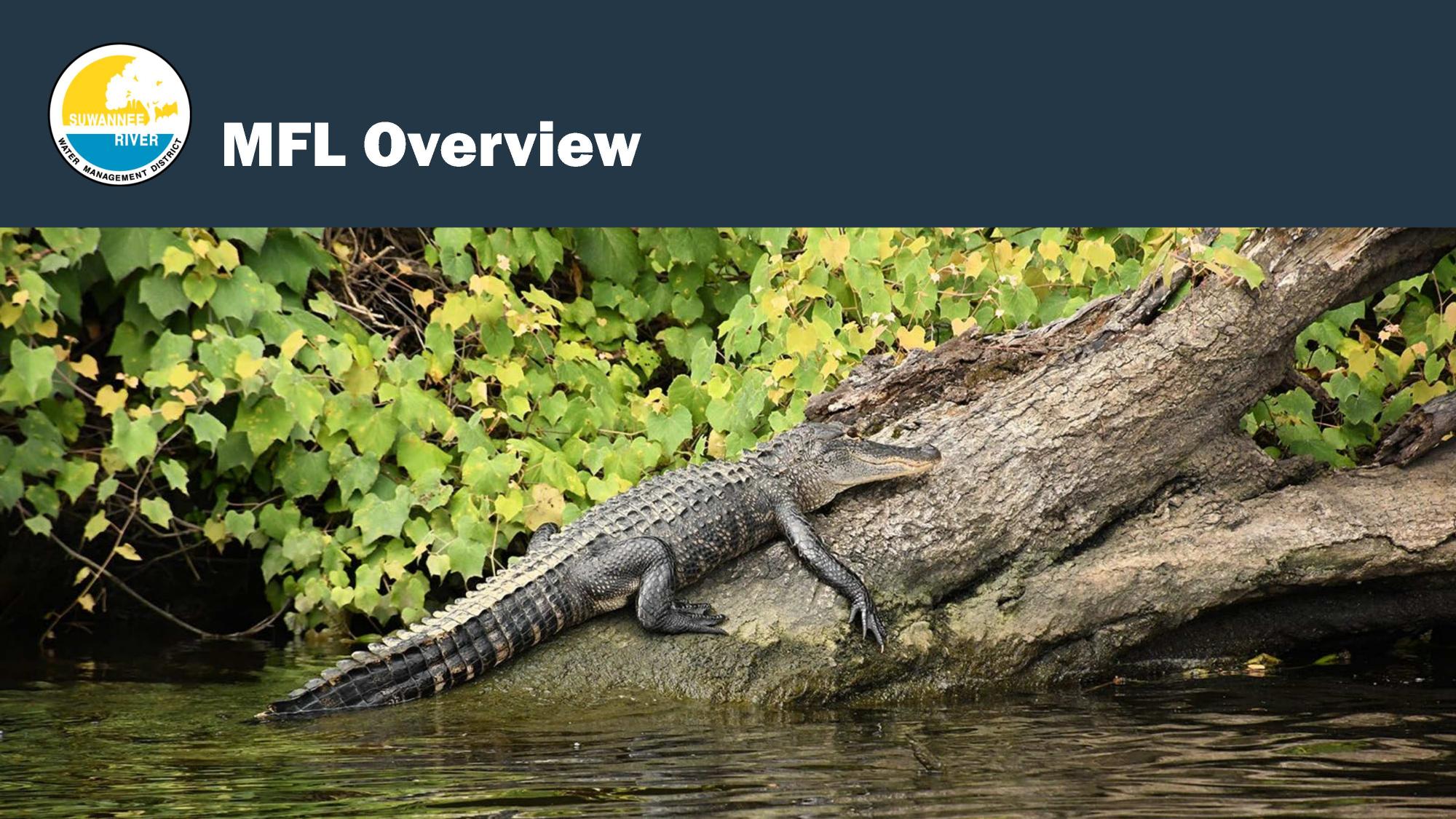 MFL Overview