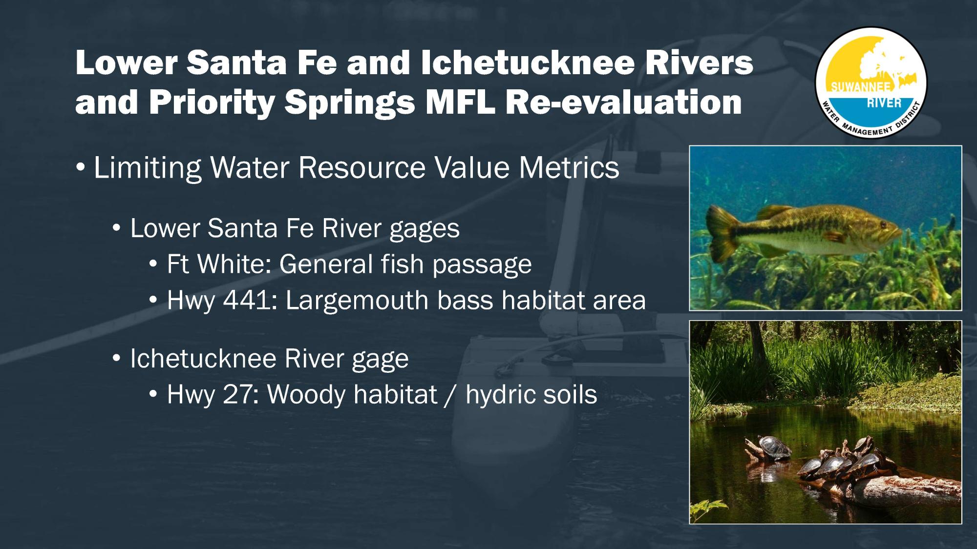 Lower Santa Fe and Ichetucknee Rivers and Priority Springs MFL Re-evaluation